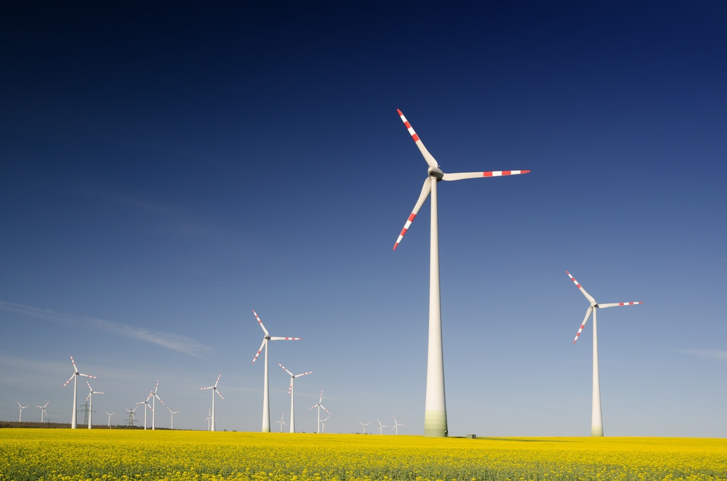 Agriculture Meets Technology: The Role of Green Energy